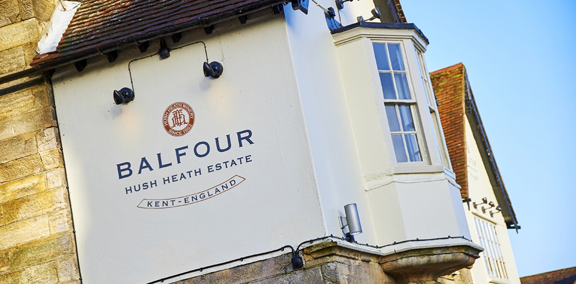 The Swan, Forest Row image 10